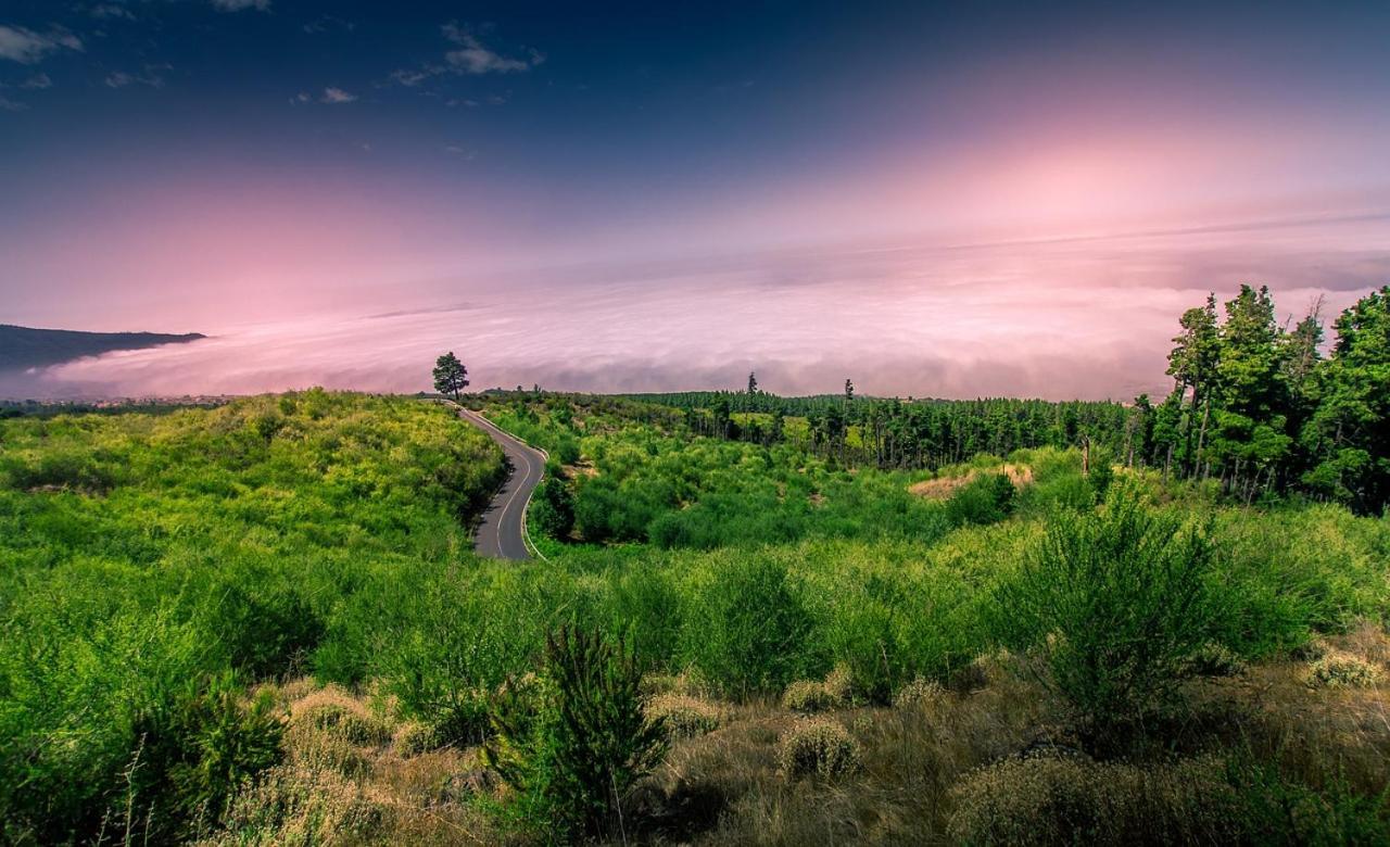 Tenerife Holidays Costa Adeje  Luaran gambar
