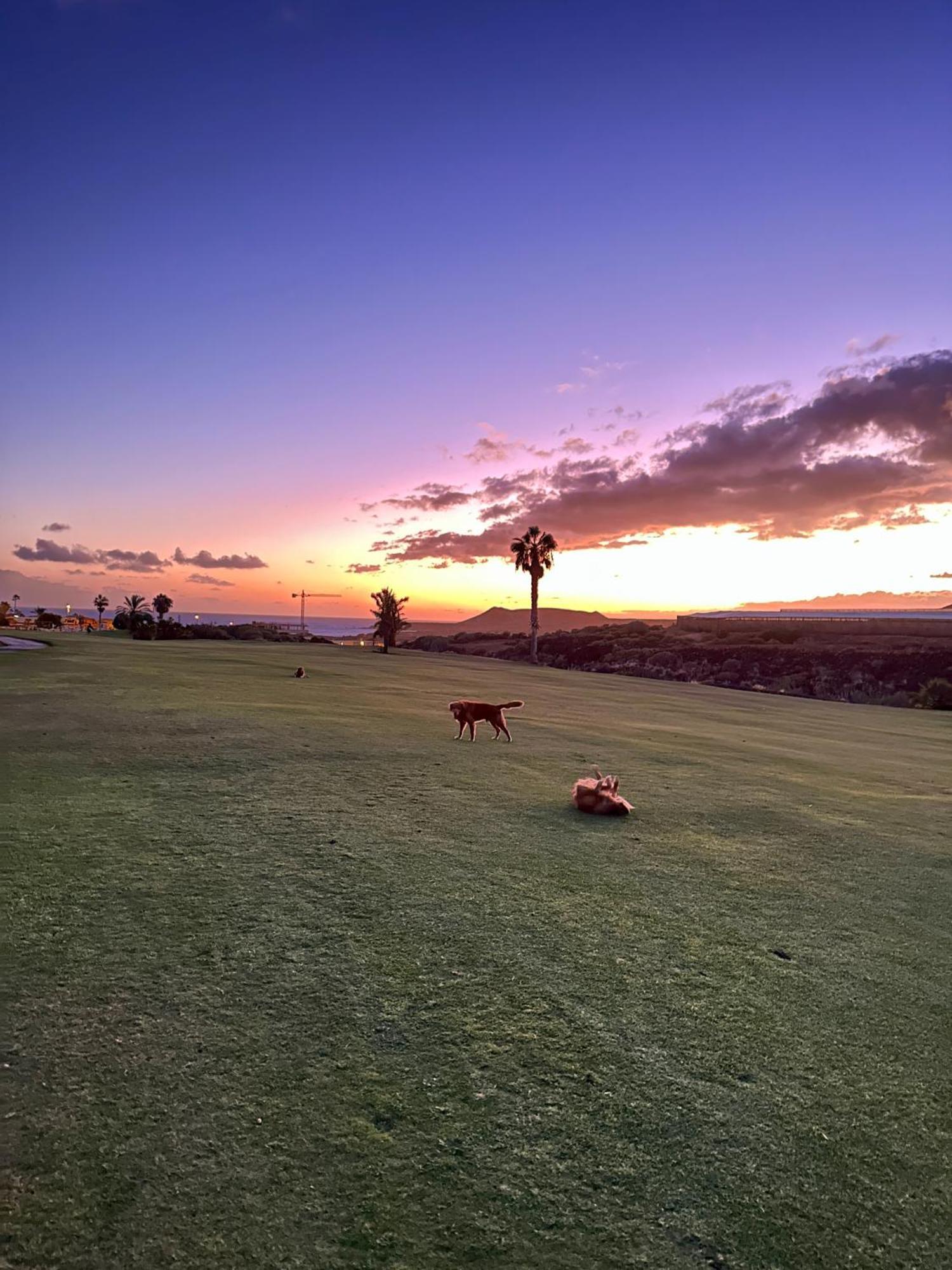 Tenerife Holidays Costa Adeje  Luaran gambar