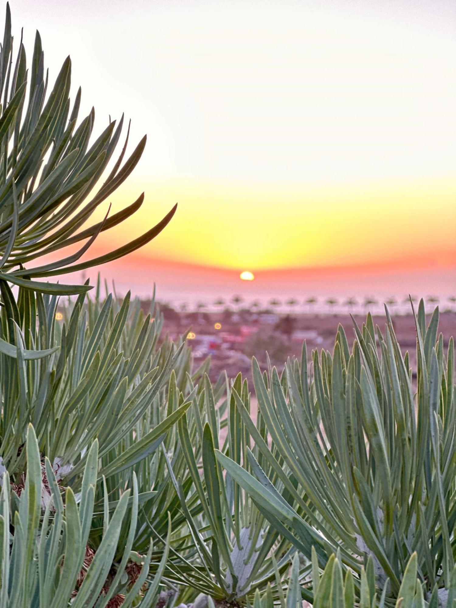 Tenerife Holidays Costa Adeje  Luaran gambar